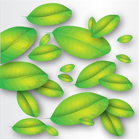 simsearch:400-04701752,k - This illustration represents some green leaves as background. Photographie de stock - Aubaine LD & Abonnement, Code: 400-09096189