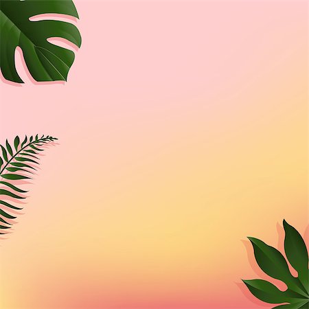 simsearch:400-05698489,k - Summer Banner With Tropical Leaf, Vector Illustration, With Gradient Mesh Stock Photo - Budget Royalty-Free & Subscription, Code: 400-09090001