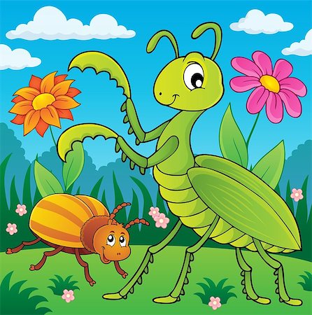 flower mantis - Meadow with praying mantis and bug - eps10 vector illustration. Stock Photo - Budget Royalty-Free & Subscription, Code: 400-09116326