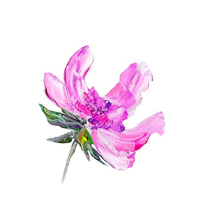 peony paintings - Hand painted modern style purple flower isolated on white background. Spring flower seasonal nature card. Oil painting Stock Photo - Budget Royalty-Free & Subscription, Code: 400-09110567