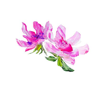 peony paintings - Hand painted modern style purple flower isolated on white background. Spring flower seasonal nature card. Oil painting Stock Photo - Budget Royalty-Free & Subscription, Code: 400-09110582