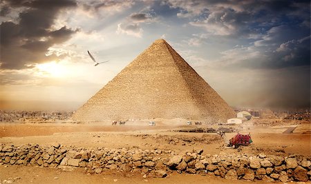 simsearch:400-04652920,k - Big bird over pyramids at the sunset Photographie de stock - Aubaine LD & Abonnement, Code: 400-09113627