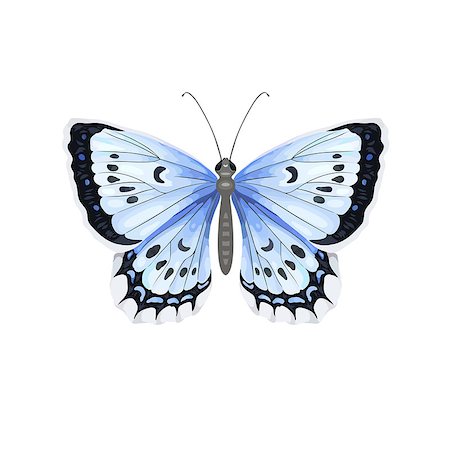 simsearch:400-06912266,k - Colorful realistic butterfly isolated on white background. Top view. Art vector illustration. Stock Photo - Budget Royalty-Free & Subscription, Code: 400-09120687