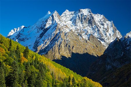 simsearch:400-04636750,k - Mountains autumn.Mountain landscape. Trees with yellow foliage against the background of mountains and a blue sky with clouds. Stock Photo - Budget Royalty-Free & Subscription, Code: 400-09136204