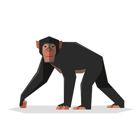 simsearch:400-04362550,k - Vector image of the Flat geometric Chimpanzee Stock Photo - Budget Royalty-Free & Subscription, Code: 400-09170716