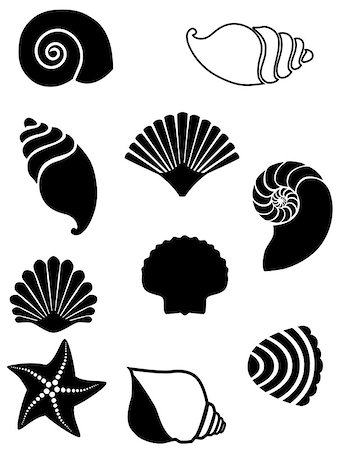 simsearch:400-08646884,k - Vector illustration of sea shells set. Seashell silhouettes set isolated on white background Stock Photo - Budget Royalty-Free & Subscription, Code: 400-09170932