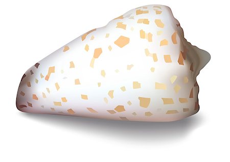 simsearch:400-08646884,k - Isolated Shell on a White Background - Detailed Colored Illustration, Vector Stock Photo - Budget Royalty-Free & Subscription, Code: 400-09172283