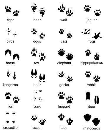 simsearch:400-04280168,k - Set of footprints of wild animals, illustration of black silhouette Stock Photo - Budget Royalty-Free & Subscription, Code: 400-09173335