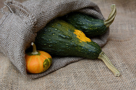 Small orange ornamental gourd with two large green warty squashes in a hessian sack Stock Photo - Budget Royalty-Free & Subscription, Code: 400-09186217