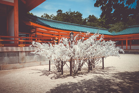Omikuji tree Heian Jingu Shrine temple in Kyoto, Japan Stock Photo - Budget Royalty-Free & Subscription, Code: 400-09226241