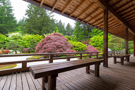View of Japanese Garden from the Veranda of the Pavilion Stock Photo - Budget Royalty-Free & Subscription, Code: 400-09221850