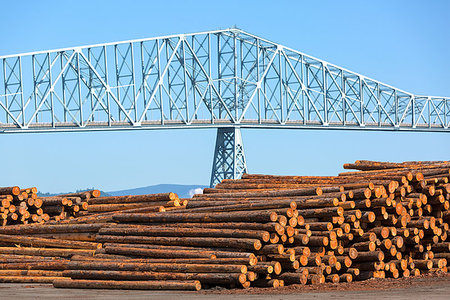 sawmill wood industry - Lumber Mill in Rainier Oregon by Columbia River Longview Bridge Stock Photo - Budget Royalty-Free & Subscription, Code: 400-09237551