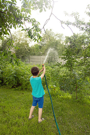 Boy playing with a sprinkler in the garden. Boy pouring the plants with the garden hose Stock Photo - Budget Royalty-Free & Subscription, Code: 400-09274137