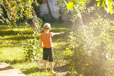 Boy playing with a sprinkler in the garden. Boy pouring the plants with the garden hose Stock Photo - Budget Royalty-Free & Subscription, Code: 400-09274138