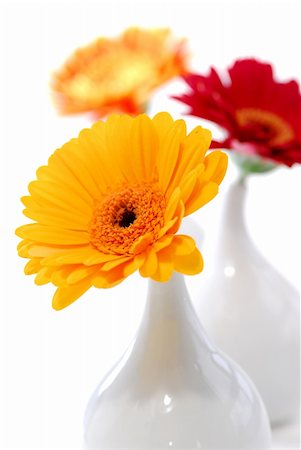 Three vases with gerbera flowers isolated on white background as interior design element Stock Photo - Budget Royalty-Free & Subscription, Code: 400-03914399