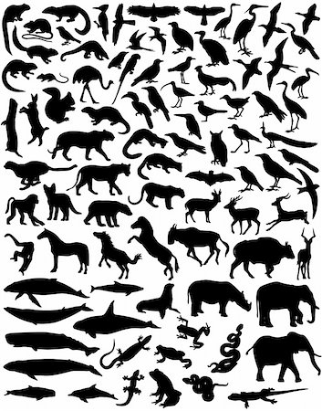 simsearch:400-04280168,k - Collection of a wide range of wild animal silhouettes Stock Photo - Budget Royalty-Free & Subscription, Code: 400-03916858