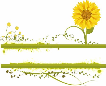 simsearch:400-03930696,k - Vector- Floral grunge with sunflower, vines and grass. Copy space for text. Foto de stock - Super Valor sin royalties y Suscripción, Código: 400-03916932
