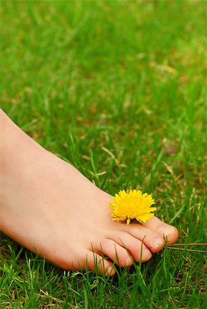 Closeup on young girl's bare foot in green grass with a dandelion Foto de stock - Super Valor sin royalties y Suscripción, Código: 400-03917099