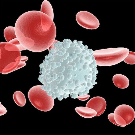 blood cells and leukocyte Stock Photo - Budget Royalty-Free & Subscription, Code: 400-03917210