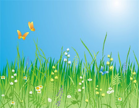 simsearch:400-03928869,k - Flowers, grass and butterfly. A beautiful meadow!  Ideally for your use Foto de stock - Super Valor sin royalties y Suscripción, Código: 400-03910546