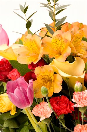 simsearch:400-03928869,k - Tulips, Carnations & roses against a plain background Foto de stock - Super Valor sin royalties y Suscripción, Código: 400-03911033
