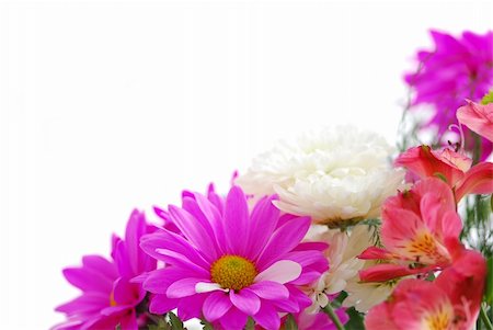 simsearch:400-03928869,k - Bouquet of fresh flowers on white background with copy space Foto de stock - Super Valor sin royalties y Suscripción, Código: 400-03911104