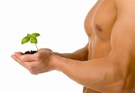 Muscular man holding small plant and soil in his hands. Isolated on white in studio. Stock Photo - Budget Royalty-Free & Subscription, Code: 400-03911912