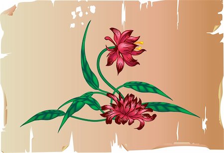 simsearch:400-04671020,k - A Floral design element on parchment. Photographie de stock - Aubaine LD & Abonnement, Code: 400-03913260