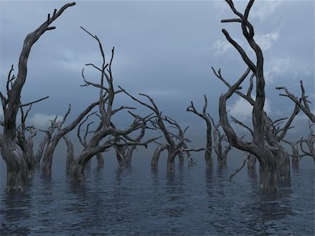 dark eerie sky - dead trees at a dark water landscape - 3d illustration Stock Photo - Budget Royalty-Free & Subscription, Code: 400-03927917