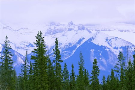 simsearch:400-07823385,k - Landscape of high snowy mountains with evegreen trees Stock Photo - Budget Royalty-Free & Subscription, Code: 400-03928856