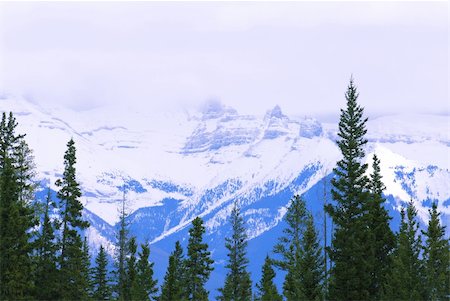 simsearch:862-03807333,k - Landscape of high snowy mountains with evegreen trees Photographie de stock - Aubaine LD & Abonnement, Code: 400-03929374