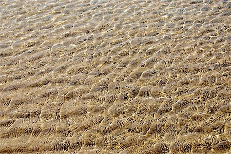 Background of shallow water surface with ripples Stock Photo - Budget Royalty-Free & Subscription, Code: 400-03920412