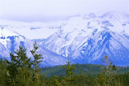 simsearch:400-07823385,k - Landscape of high snowy mountains with evegreen trees Stock Photo - Budget Royalty-Free & Subscription, Code: 400-03922210