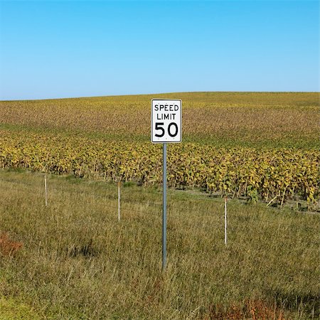 Speed limit sign in front of rural field of crops. Foto de stock - Super Valor sin royalties y Suscripción, Código: 400-03923889