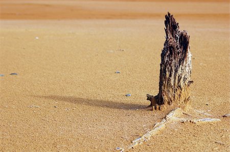 dusty environment - A picture that depicts what Global Warming can bring us in the near future Stock Photo - Budget Royalty-Free & Subscription, Code: 400-03936204