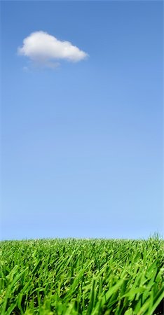 simsearch:400-03928869,k - Background of sky and grass Foto de stock - Super Valor sin royalties y Suscripción, Código: 400-03937488