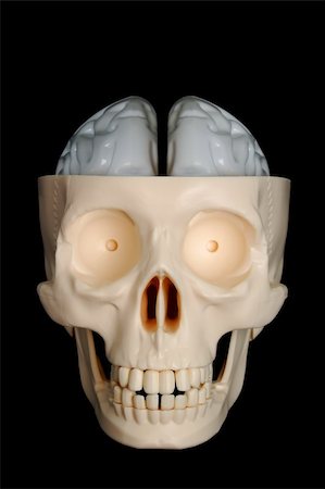 simsearch:700-00262810,k - A funny-looking plastic skull, with exposed brain, on a black background. Stock Photo - Budget Royalty-Free & Subscription, Code: 400-03938632