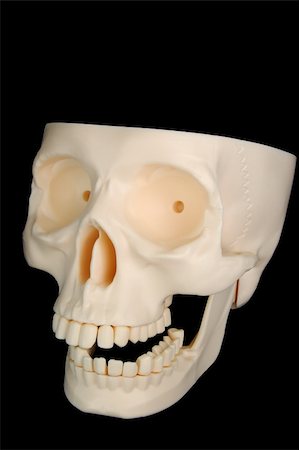 simsearch:400-03971352,k - A funny-looking plastic skull isolated on a black background, top of the head missing. Foto de stock - Super Valor sin royalties y Suscripción, Código: 400-03938633