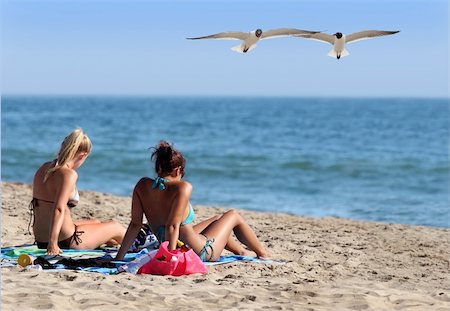simsearch:400-03950469,k - Couple girls in a bikini and two seagulls with funny expressions Stock Photo - Budget Royalty-Free & Subscription, Code: 400-03938984