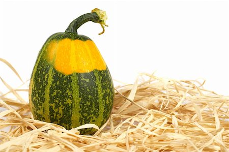 A yellow and green pumpkin, on straw background. Shallow DOF Stock Photo - Budget Royalty-Free & Subscription, Code: 400-03939885