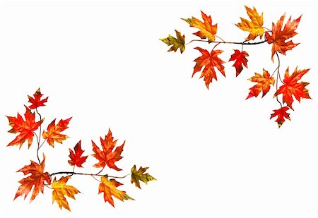 simsearch:696-03394776,k - Framed background with red fall maple leaves Photographie de stock - Aubaine LD & Abonnement, Code: 400-03931534