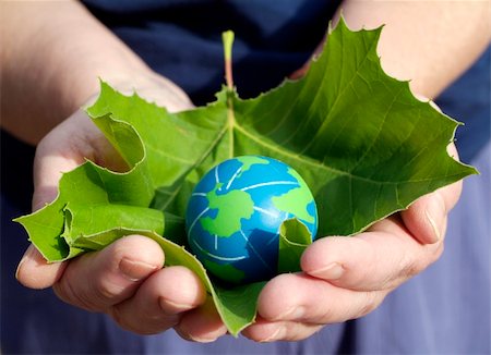 earth friendly - person holding a leaf with small earth Stock Photo - Budget Royalty-Free & Subscription, Code: 400-03932634