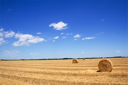simsearch:6109-07498113,k - Wide open stubble field with straw or hay bales under a spectacular summer sky Stock Photo - Budget Royalty-Free & Subscription, Code: 400-03933769