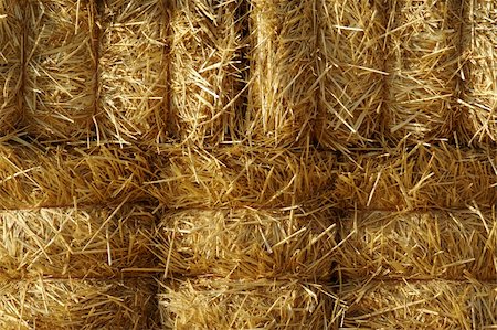 simsearch:6109-07498113,k - Stacked Straw Hay Bails In the Morning Sun Stock Photo - Budget Royalty-Free & Subscription, Code: 400-03944382