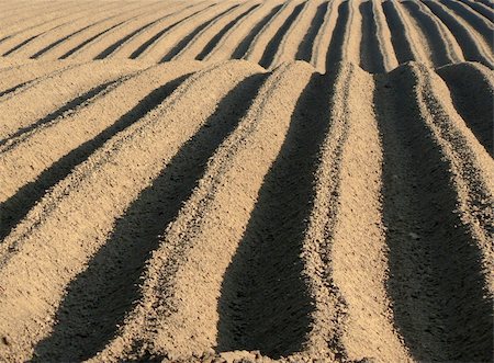 dusty environment - farmland tracks in the North of England Stock Photo - Budget Royalty-Free & Subscription, Code: 400-03946281