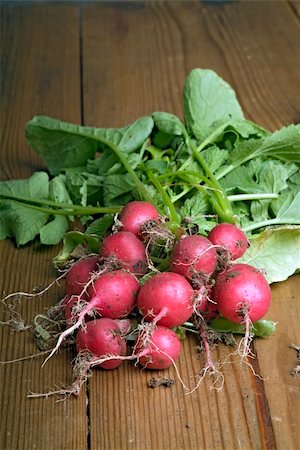 simsearch:700-06334366,k - Bunch of fresh radishes from the garden on wooden surface Stock Photo - Budget Royalty-Free & Subscription, Code: 400-03947849