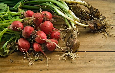 simsearch:700-06334366,k - Bunch of fresh and dirty radishes and scallion from the garden on wooden surface Stock Photo - Budget Royalty-Free & Subscription, Code: 400-03947850