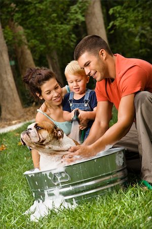 dad bath boy - Caucasian family with toddler son giving  English Bulldog a bath outdoors. Foto de stock - Super Valor sin royalties y Suscripción, Código: 400-03941036