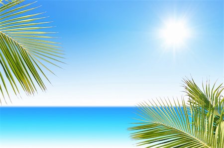 simsearch:400-04062726,k - Tropical Sea with palm trees on sunny day Foto de stock - Super Valor sin royalties y Suscripción, Código: 400-03942338