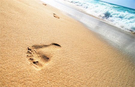 simsearch:859-07284165,k - Foot Prints on Tropical Sandy Beach Stock Photo - Budget Royalty-Free & Subscription, Code: 400-03942350